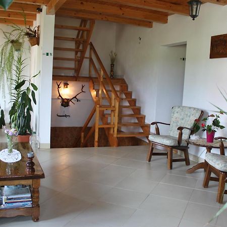 Apartmán Casa Altius Felix Băile Felix Exteriér fotografie