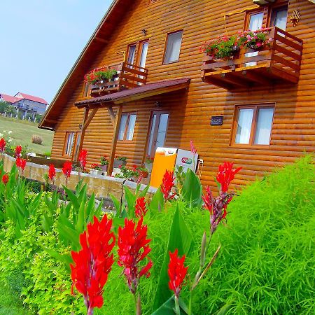 Apartmán Casa Altius Felix Băile Felix Exteriér fotografie