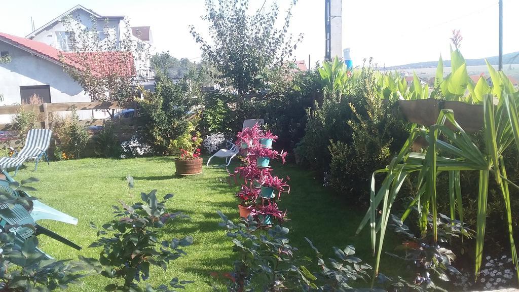 Apartmán Casa Altius Felix Băile Felix Exteriér fotografie